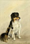 S RIPLEY (British, 20th Century) oil on board - portrait of a collie dog 'Roy', signed lower