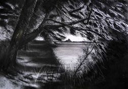 LISA HENDERSON charcoal and black chalk drawing - entitled 'Cedars in Tredegar Park', 65 x 81cms