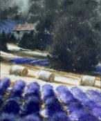 NAOMI TYDEMAN watercolour - entitled 'Lavender Field 2', 42 x 39cms Comments: mounted, glazed and
