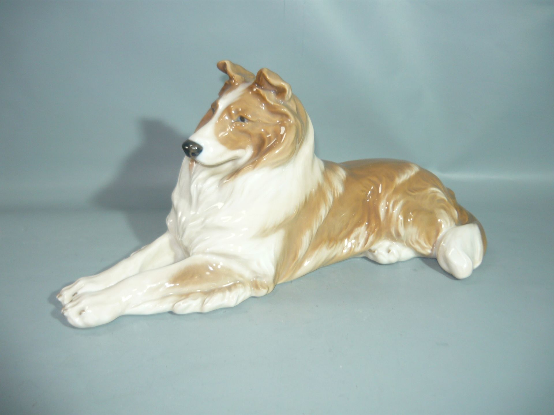 Royal Copenhagen. Großer liegender Collie. Erste Wahl. L. 28cm. //English: Royal Copenhagen. Huge