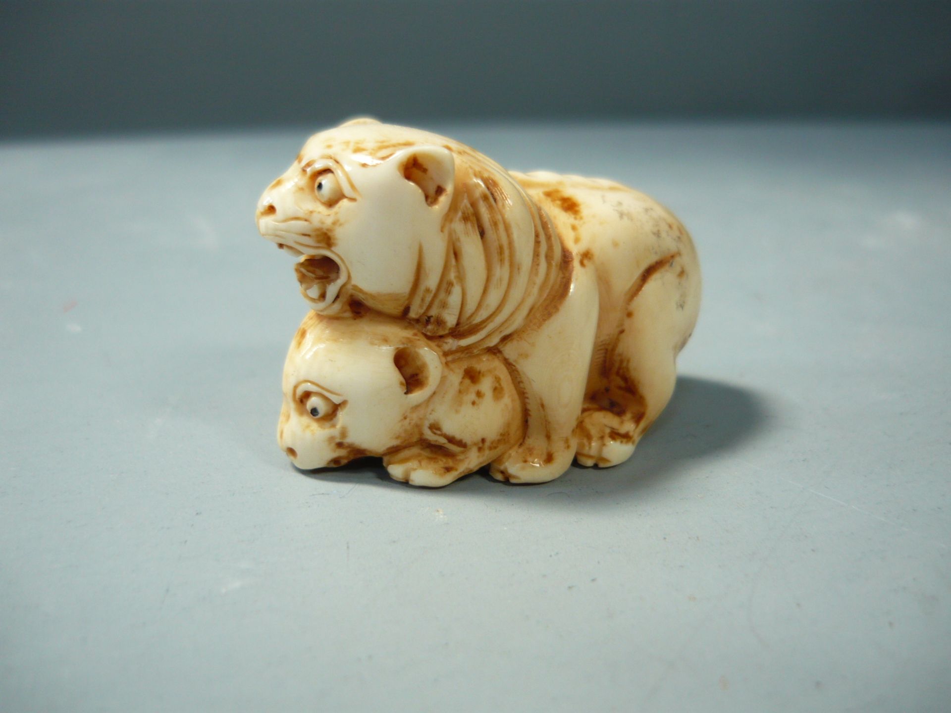 Netsuke. Löwen bei der Paarung. Bein, geschnitzt. Asien 20.jhdt. L. 5 cm. // English: Netsuke. Lions