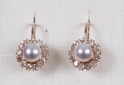 Paar Ohrringe. GG 14 K. Perlen umgeben