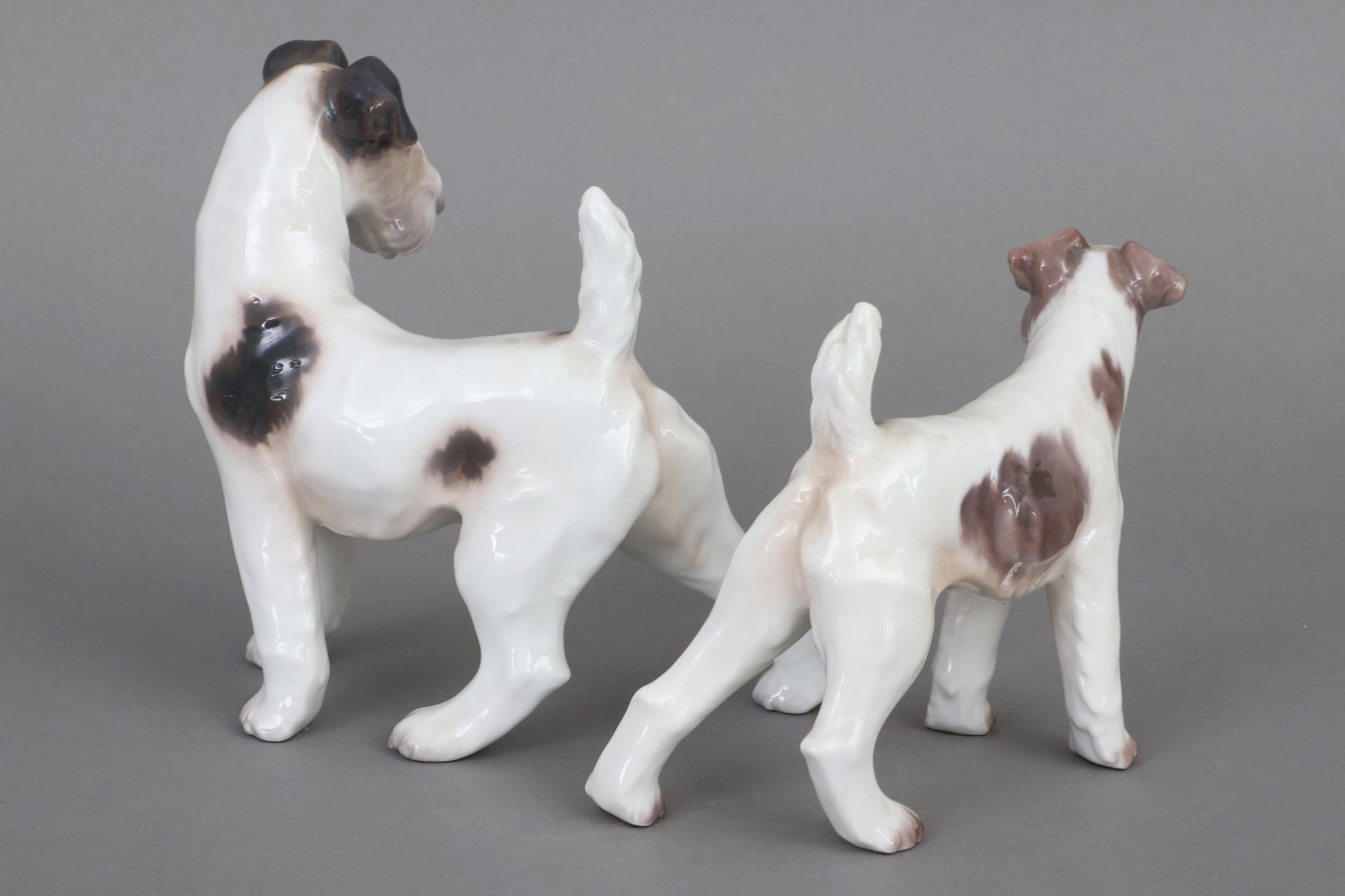 2 DAHL JENSEN (Dänemark) Porzellanfiguren ¨Terrier¨ - Image 2 of 4