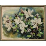 Domke, E. (deutscher Aquarellist), Magnolien, Aquarell unter Glas gerahmt, unten mittig signiert,