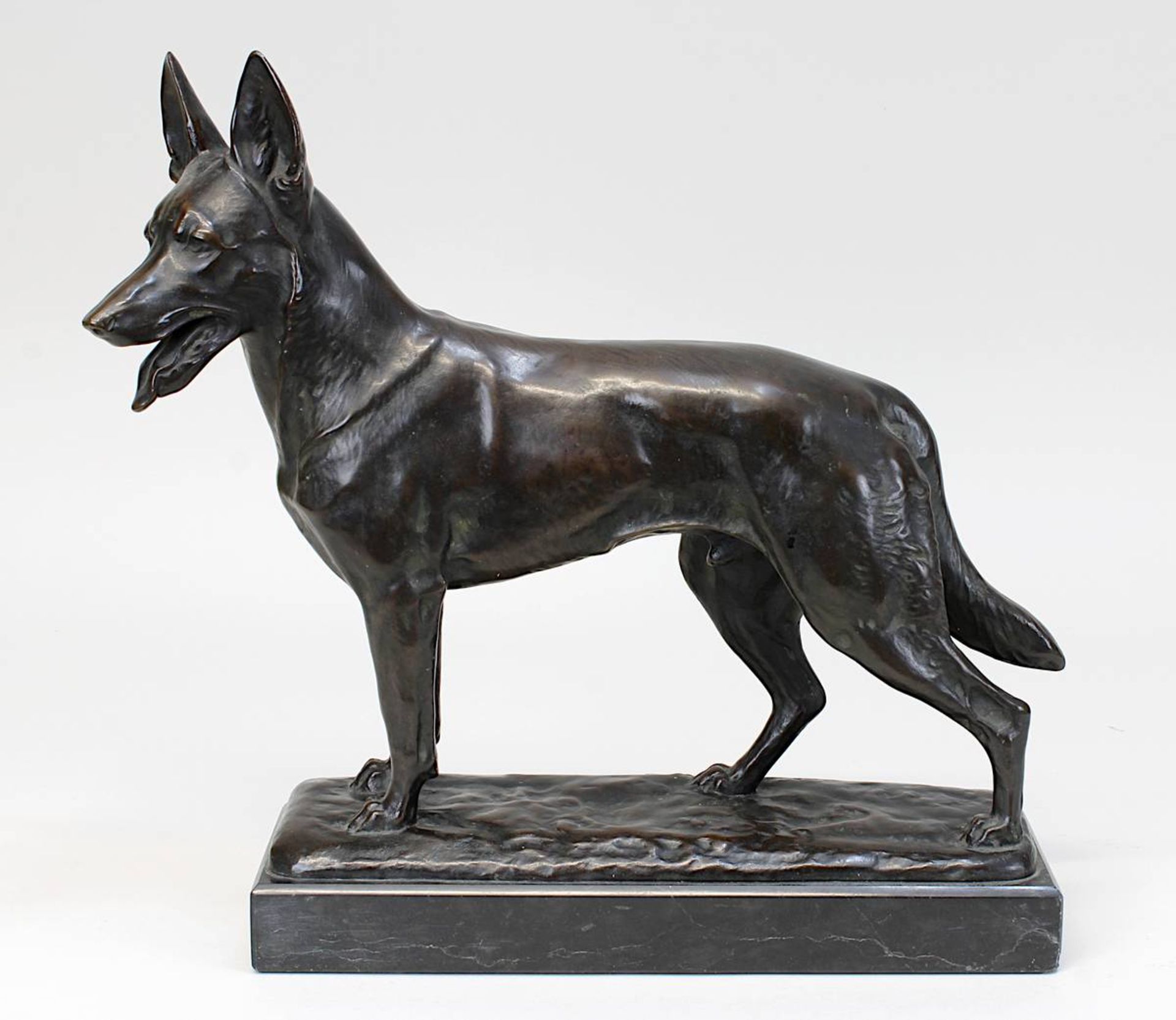 Skulpteur 1. H. 20. Jh., Bronzefigur eines Schäferhundes, mit schöner brauner Patina, auf