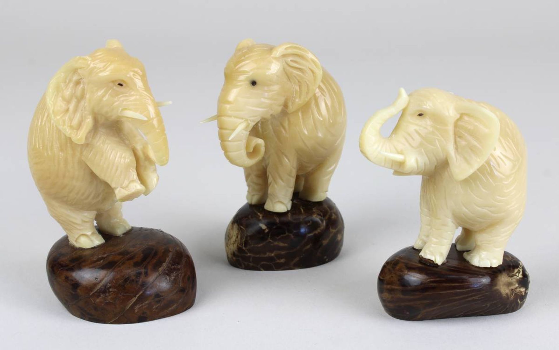 3 Elefantenfiguren aus Taguanuss, jew. aus einer Nuss geschnitzt und auf einer halben Nuss als