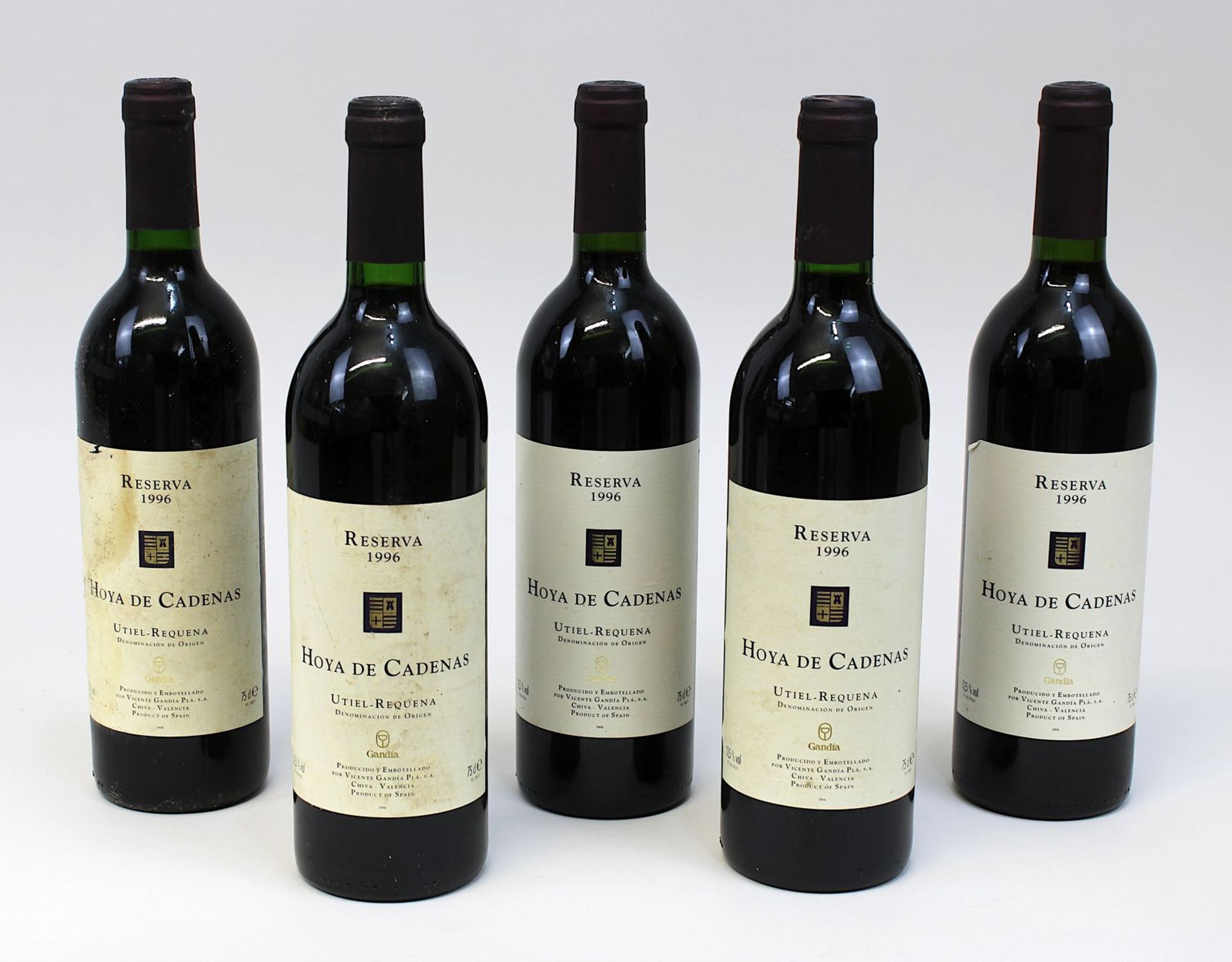 Fünf Flaschen 1996er Hoya de Cadenas, Reserva, Utiel - Requena, Vicente Gandia PLA S.A., jeweils