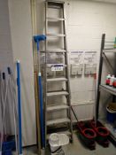 10 Tier Aluminium Step Ladder