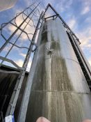 (AG-ENG) VERTICAL FATS SOYA OIL STORAGE TANK (understood to be stainless steel and understood to