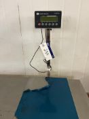 Weighing Indicator Table Top Platform Scale, approx. 40cm x 50cm on platform, lift out charge £10,