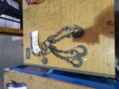 Four Leg Lifting Chain, 3.15ton SWL, Chain Length 0.2mPlease read the following important notes:-