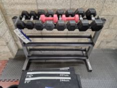 Ten Dumbbells and Stand Please read the following important notes:- ***Overseas buyers - All lots