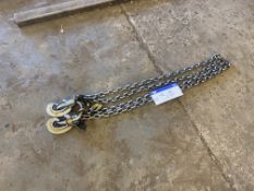 Twin Leg Lifting Chain Please read the following important notes:- ***Overseas buyers - All lots are