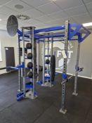 Modular Steel Framed Jungle Gym Rig with Olympic Bar and Supports, Five Medicine Balls, Ropes,