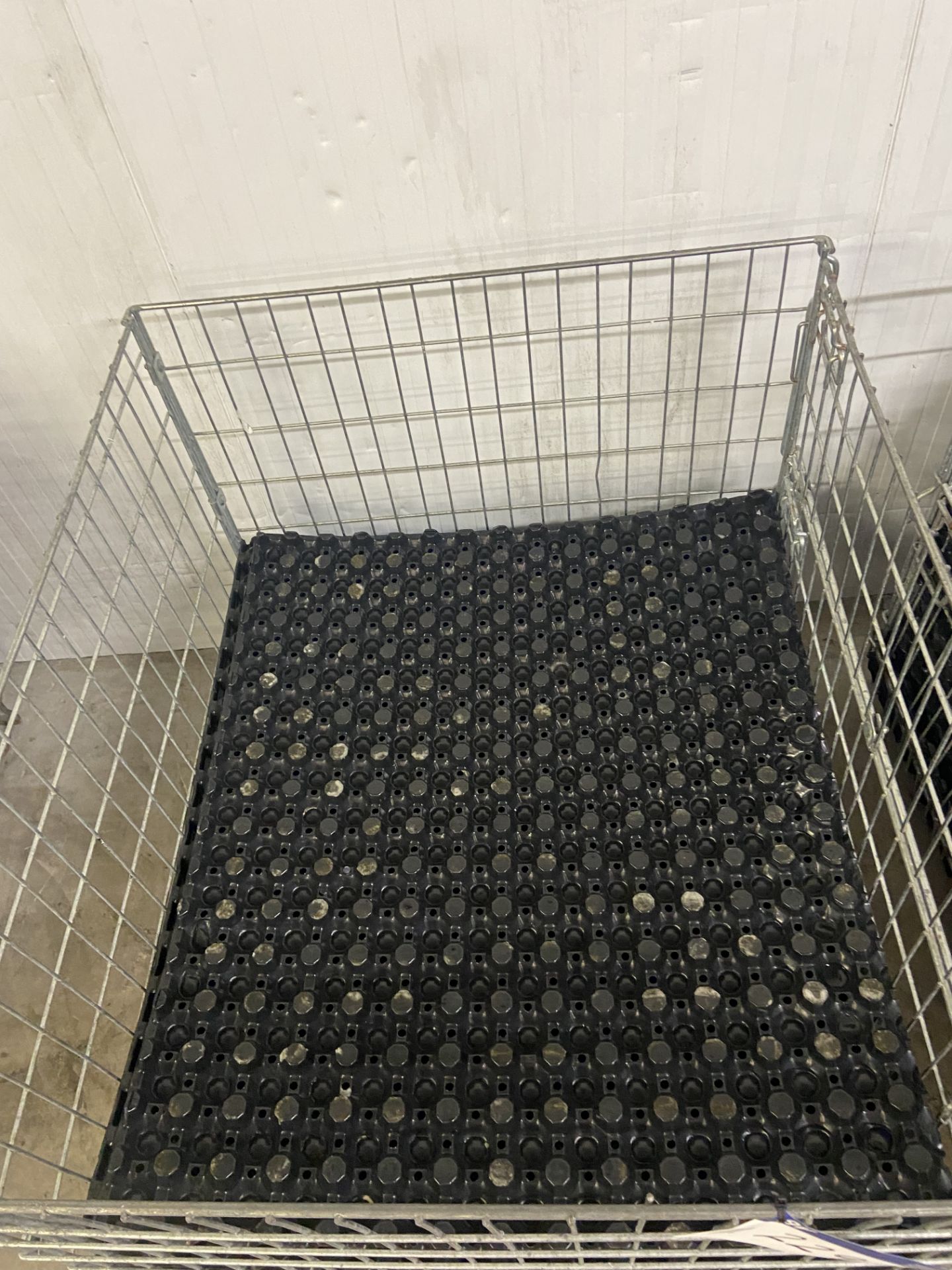 Galvanised Steel Collapsible Cage Box Pallet, approx. 1.2m x 1m x approx. 800mm deep, with plastic - Image 2 of 2
