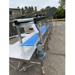 Delta Systems Mobile Introlux Type Conveyor, with sloping roller conveyor above, five collapsable