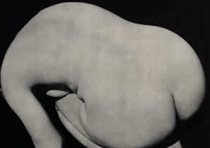 Imogen Cunningham - Nude, Print