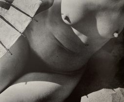 Edward Weston - Nude, 1923