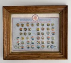 Presidential Campaign Button Collection (Framed)