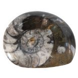Fossil-Stein, oval, etwas gemuldet, L. 10 cm