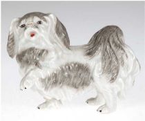 Porzellanfigur "Hund Pekinese", Dresden Potschappel, unterseitig gemarkt, partielle Unterglasurmale