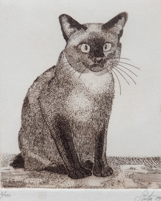 "Sitzende Katze", Radierung, 2/150, undeutl. sign. u.r., dat. ´79, 24x18 cm, hinter Glas und Rahmen