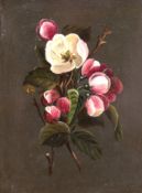 "Blumenstilleben mit Apfelblüte auf schwarzem Grund", Öl/ Karton, unsig., 20x15,5 cm, Rahmen
