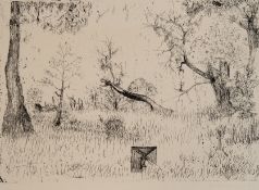 Bordanowicz, Jurgen (1944 Bromberg) "Waldlandschaft", Radierung, handsign. und dat. '74, 18x26 cm