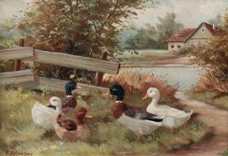 Zetzmann, Arno (1904-1974) "Enten am See", Öl/ Lw., sign. u.l., 18x24 cm, Rahmen