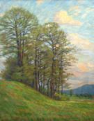 Steinbach, Gertrud (1871 Dresden-?) "Hügelige Landschaft mit Bäumen", Öl/ Lw., sign. u.l., 91x65 cm