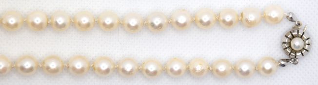 Akoya-Perlenkette, geknotet, Durchmesser ca. 7,5- 8 mm, mit minimalen Wachstumsmerkmalen Verschluss