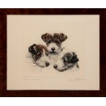 Meyer, Eberhardt "Terrier", Org. Farbradierung, bez. u.l. und sign. u.r., 33x39 cm, hinter Glas und