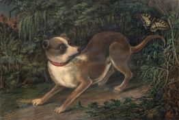 "Hund entdeckt den Wald", Tempra/Karton, unsign., 23x35 cm, hinter Glas und Rahmen mit Zierkante