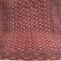 Teppich, Turkmen, ornamentales Muster auf rotem Grund, Kanten belaufen, 320x240 cm