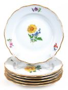 6 Meissen-Teller, 5x Bunte Blume 2, 1x Gelbe Rose,  Goldrand, Neuer Ausschnitt, 2. Wahl, Dm. 16,5 c