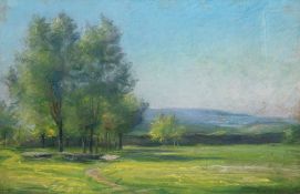 "Mecklenburger Landschaft", Pastell, undeutl. sign. u.r., 41x60 cm, hinter Glas und Rahmen