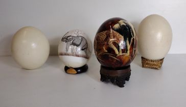 4 Ostrich eggs. Collection only.