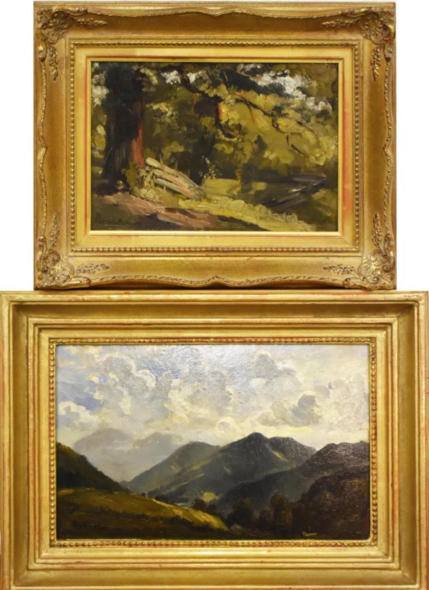 BECHTOLSHEIM, GUSTAV VON. Blick ins Gebirge / Waldlandschaft. Zwei Gemälde: Öl/Karton.