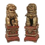 Ein Paar Fo-Hunde. China | Holz, geschnitzt. Rot und goldfarben lasiert.