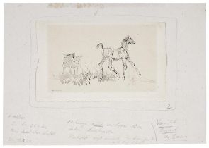 Busch, Wilhelm Martin: Zwei Pferde auf der Weide