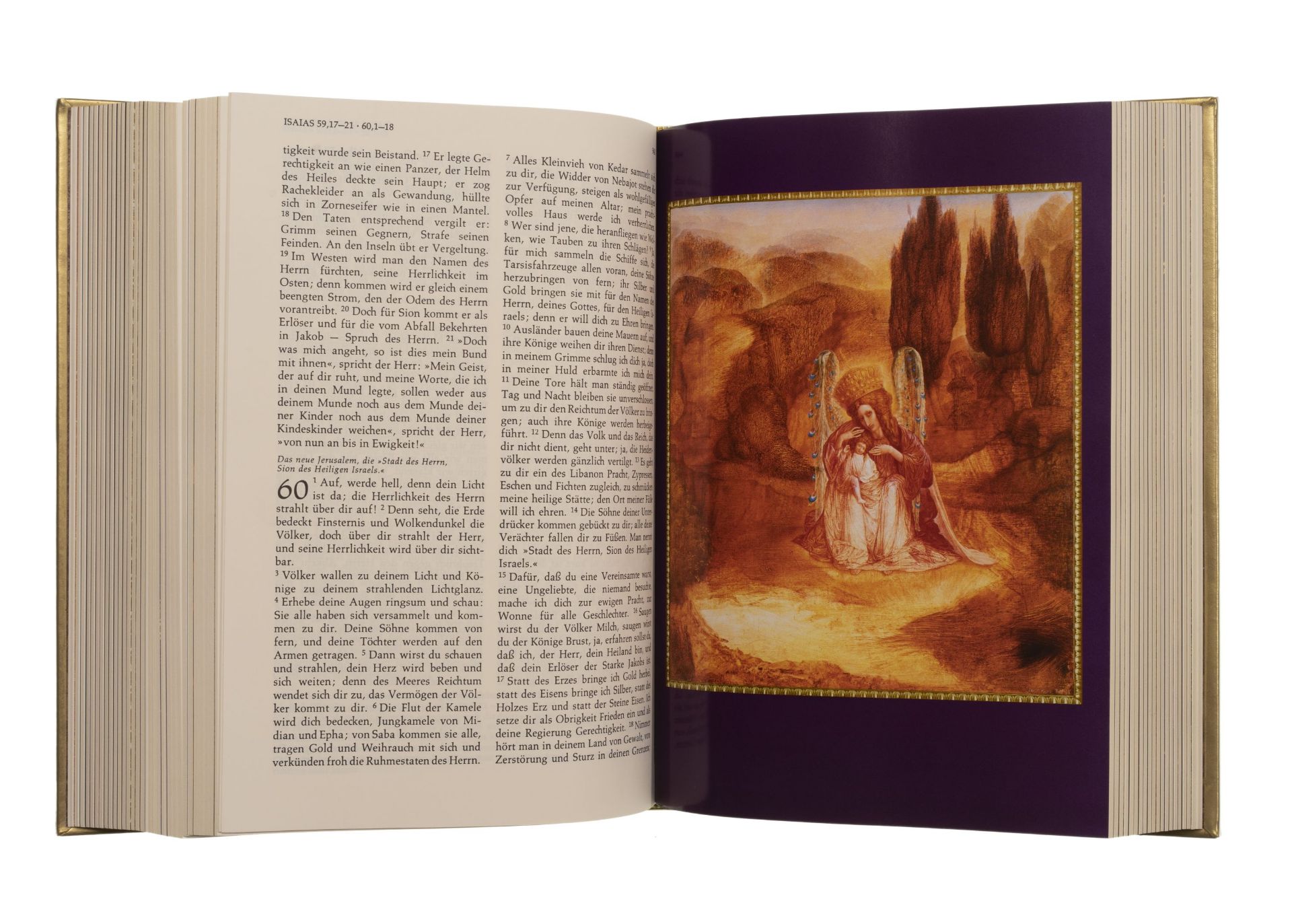 Ernst Fuchs "Die Bibel bebildert von Ernst Fuchs. Die Heilige Schrift des Alten und Neuen Testa... - Bild 7 aus 10