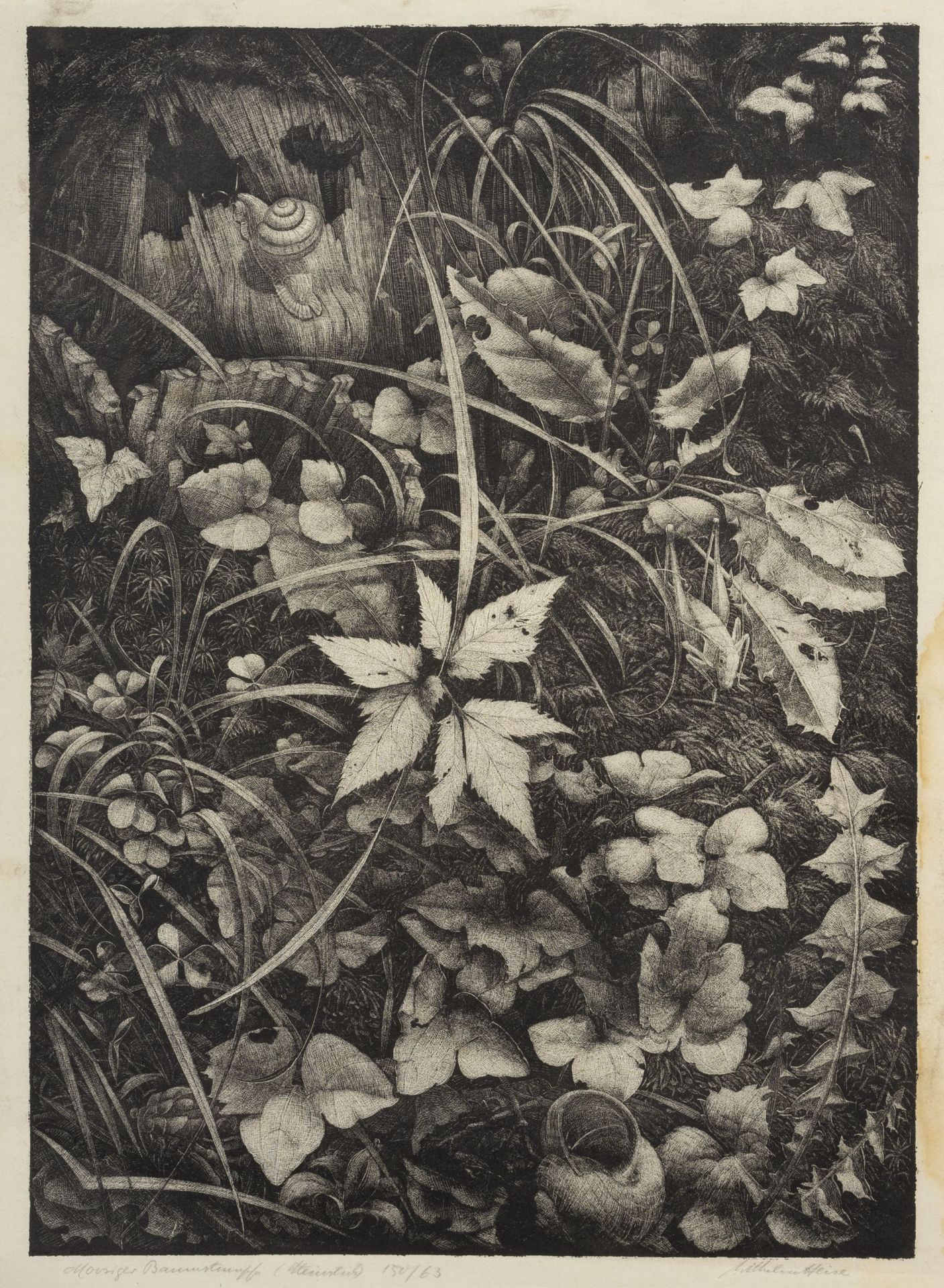 Wilhelm Heise "Frauenschuh" / "Moosiger Baumstumpf". Um 1925. - Bild 2 aus 2