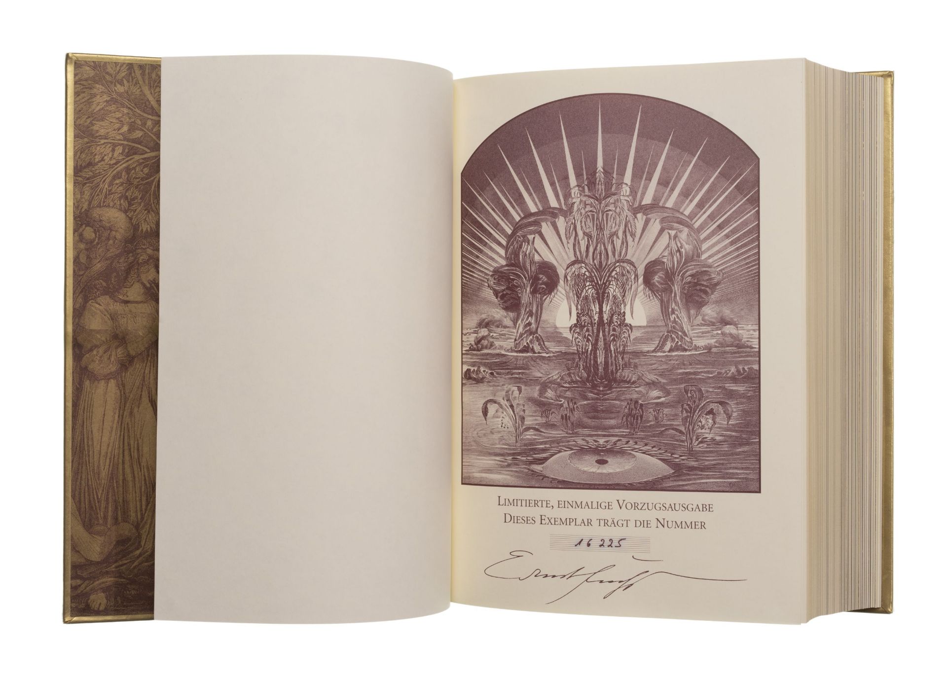 Ernst Fuchs "Die Bibel bebildert von Ernst Fuchs. Die Heilige Schrift des Alten und Neuen Testa... - Bild 2 aus 10