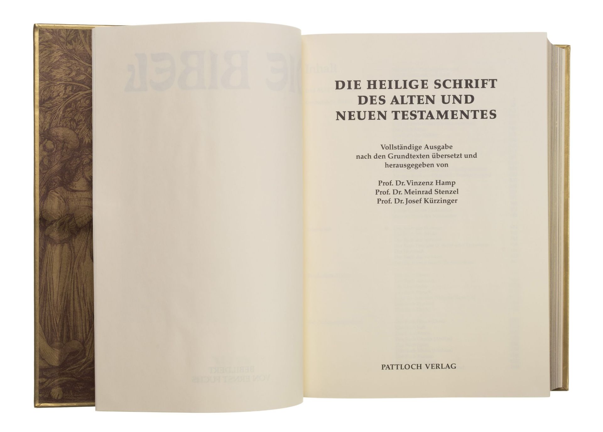 Ernst Fuchs "Die Bibel bebildert von Ernst Fuchs. Die Heilige Schrift des Alten und Neuen Testa... - Bild 4 aus 10