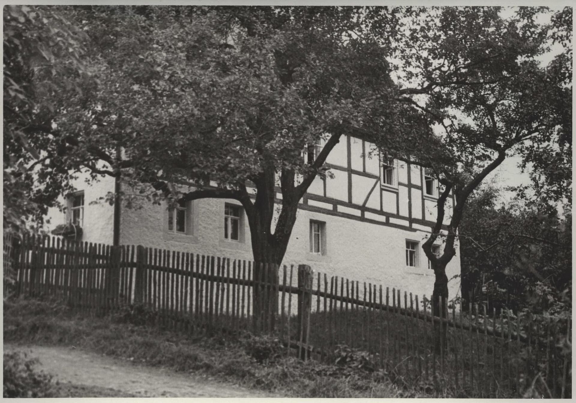 Curt Querner, Herbert Boswank, Siegfried Huth und Walter Zorn, u. a., Porträt-Fotografien von C... - Image 9 of 18