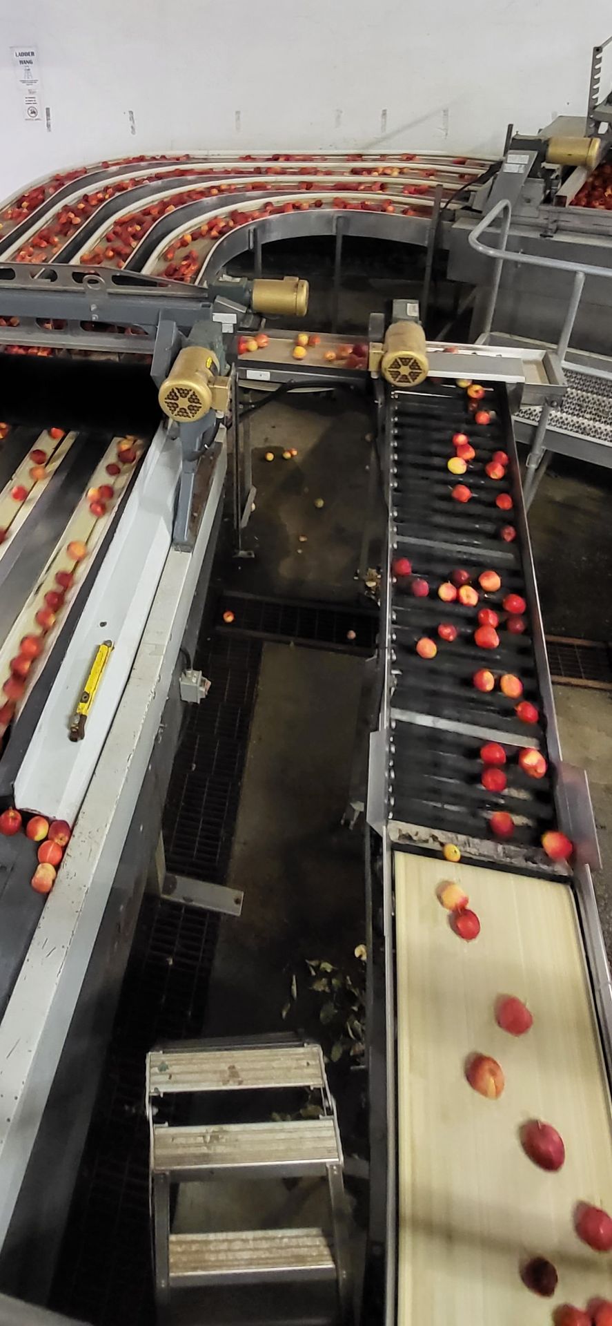 Apple Fruit Processing / Sort Line - Also Available PRIOR TO AUCTION CLOSING See You-Tube Videos - Image 10 of 20