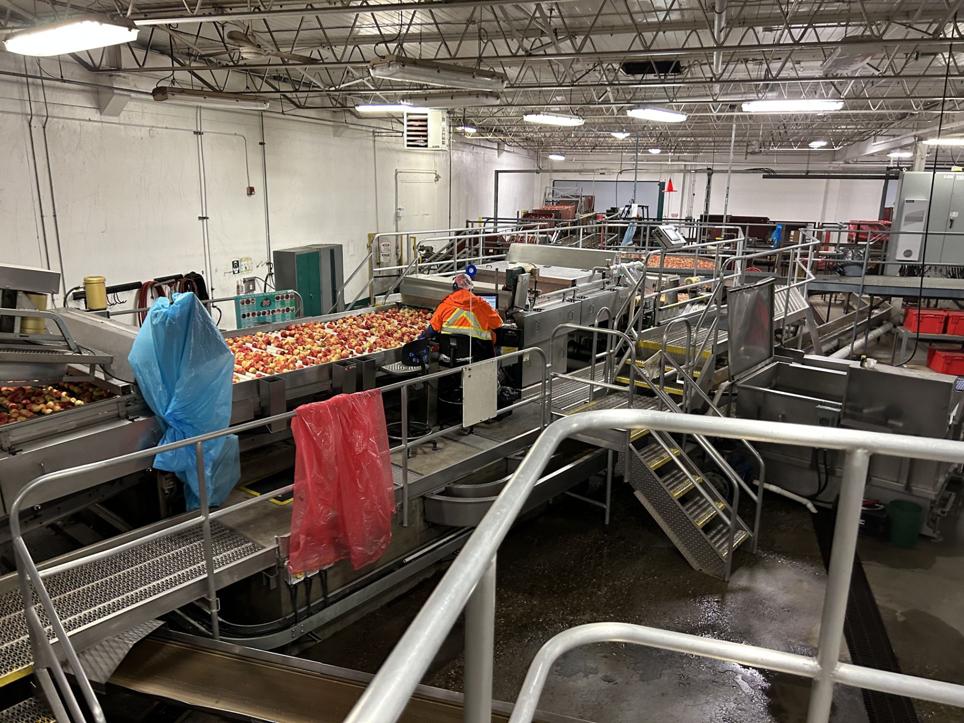 Apple Fruit Processing / Sort Line - Also Available PRIOR TO AUCTION CLOSING See You-Tube Videos - Image 20 of 20