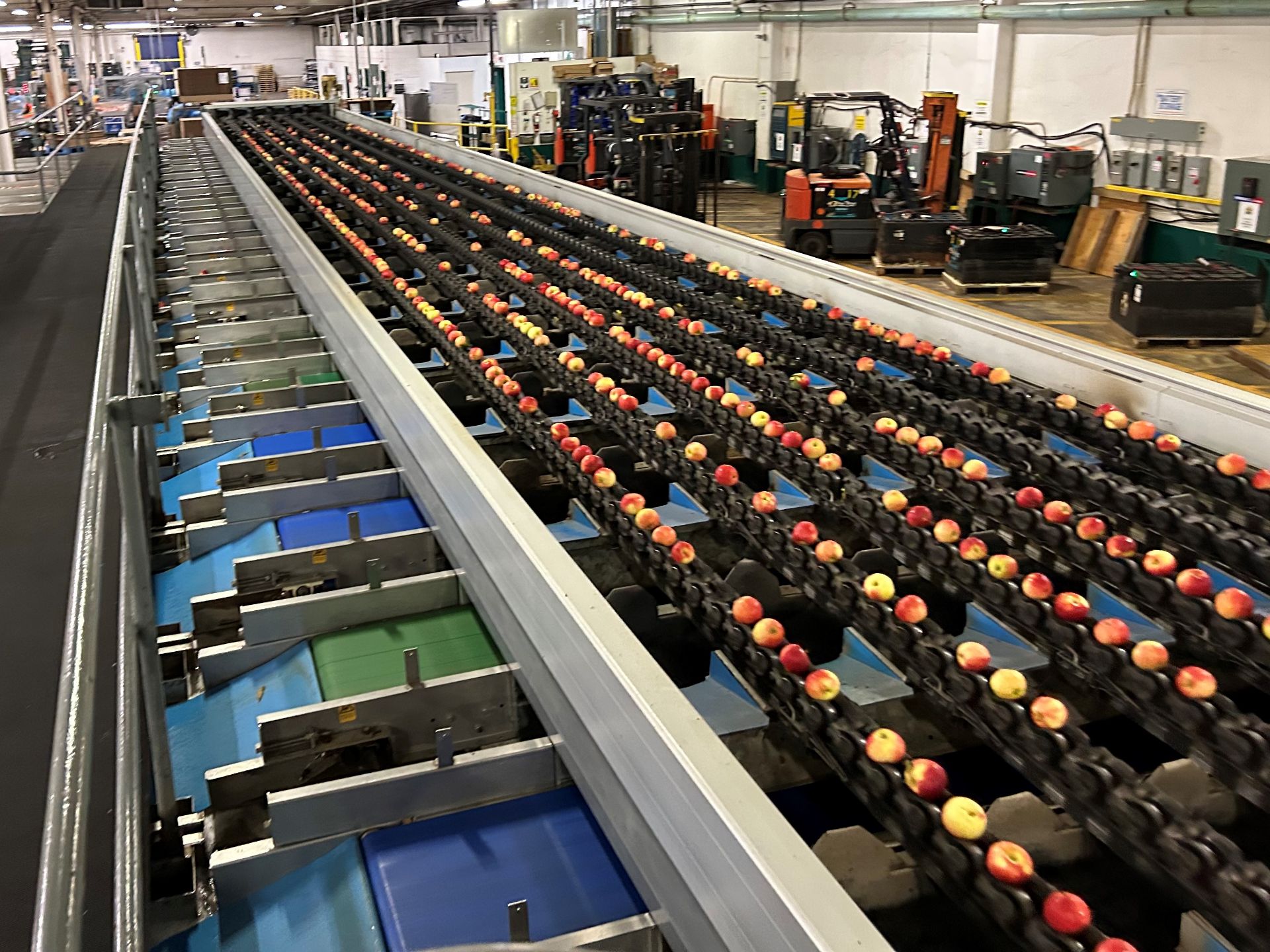 Apple Fruit Processing / Sort Line - Also Available PRIOR TO AUCTION CLOSING See You-Tube Videos - Image 8 of 20