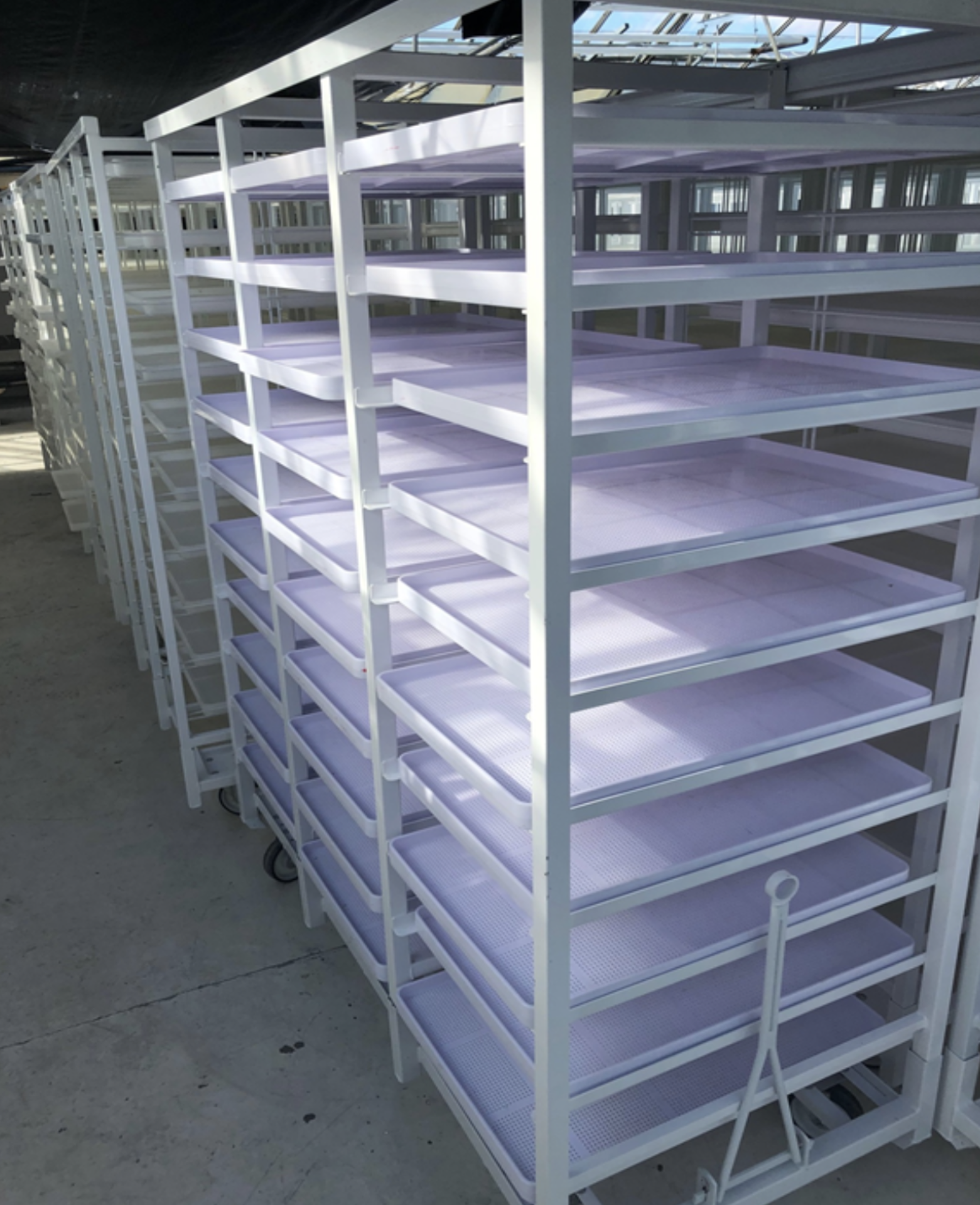 (Located in Leamington, ON, CA) Triple Drying Racks w/ Toe Connect, Qty 100, Each Rack Includes 10