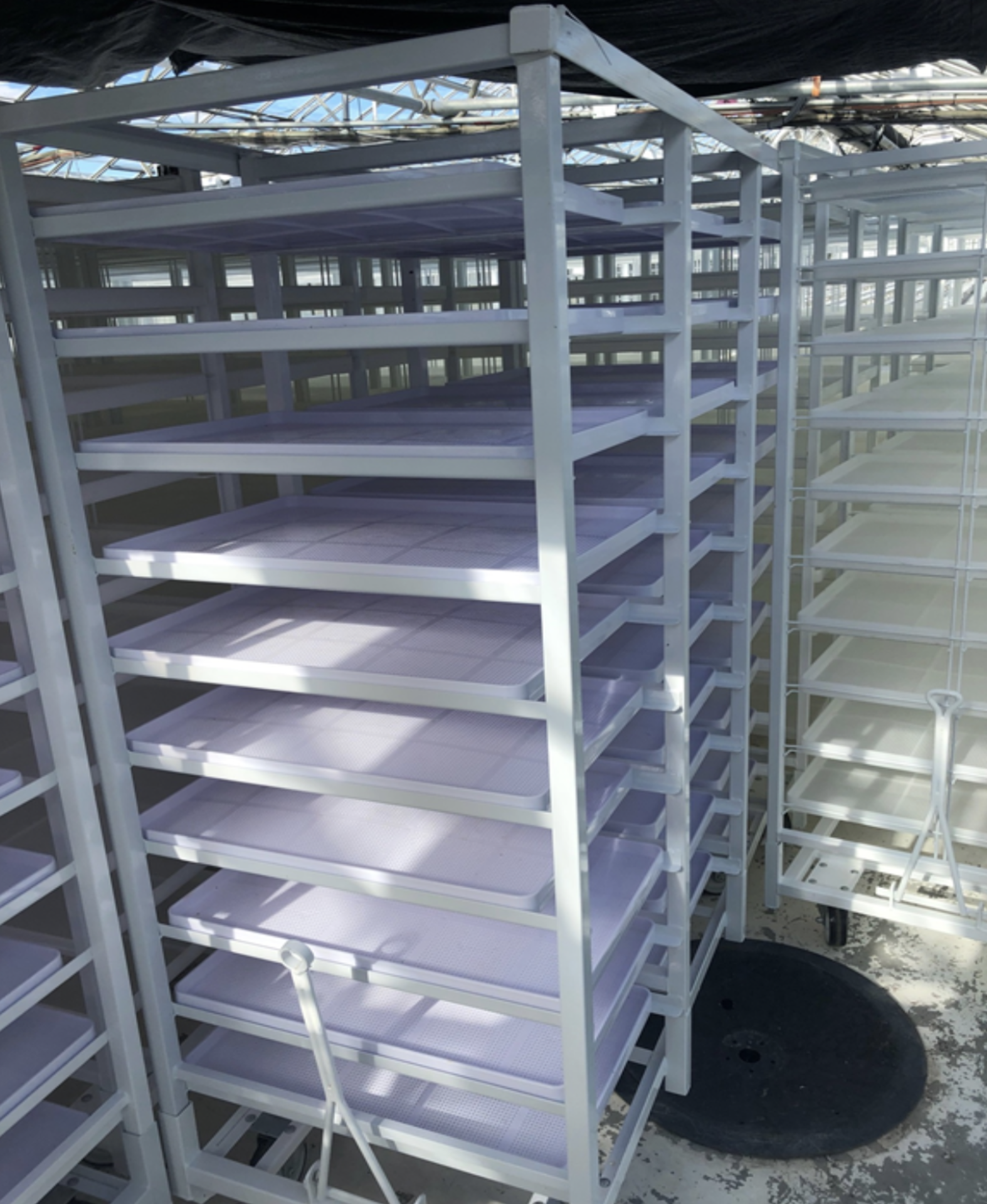 (Located in Leamington, ON, CA) Triple Drying Racks w/ Toe Connect, Qty 50, Each Rack Includes 10 - Image 2 of 4